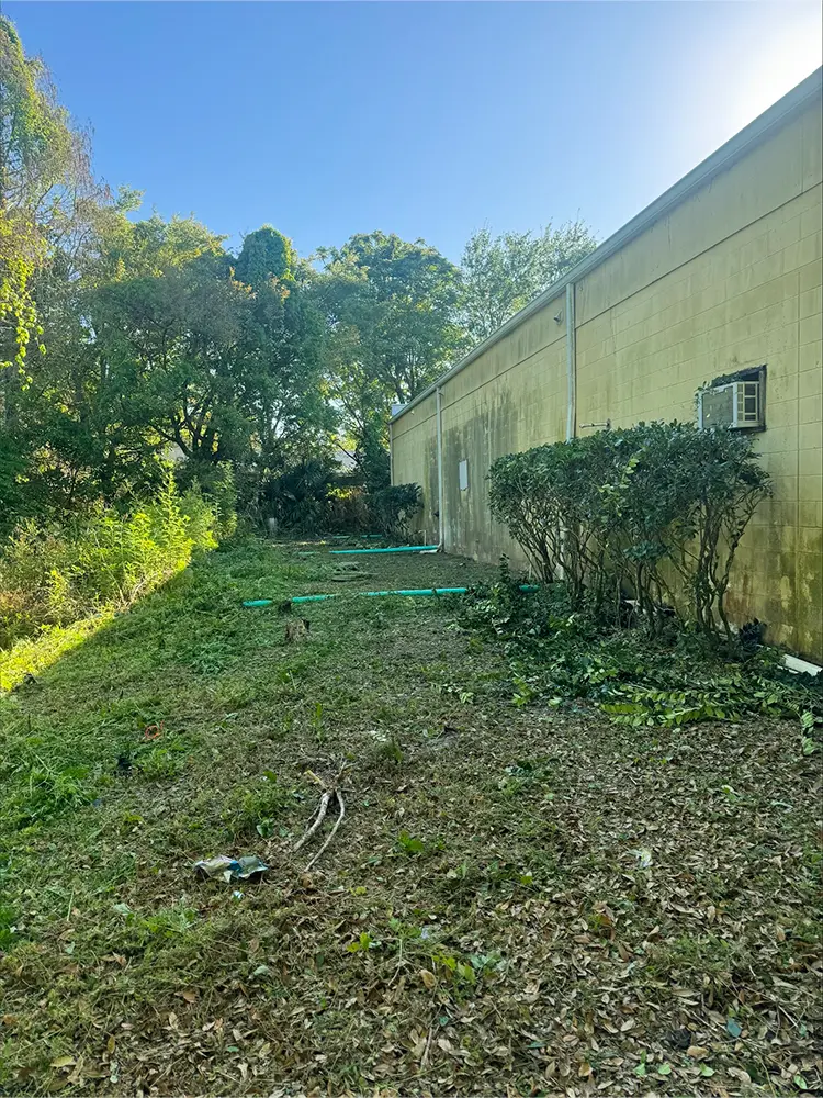 After our Seminole County brush clearing services