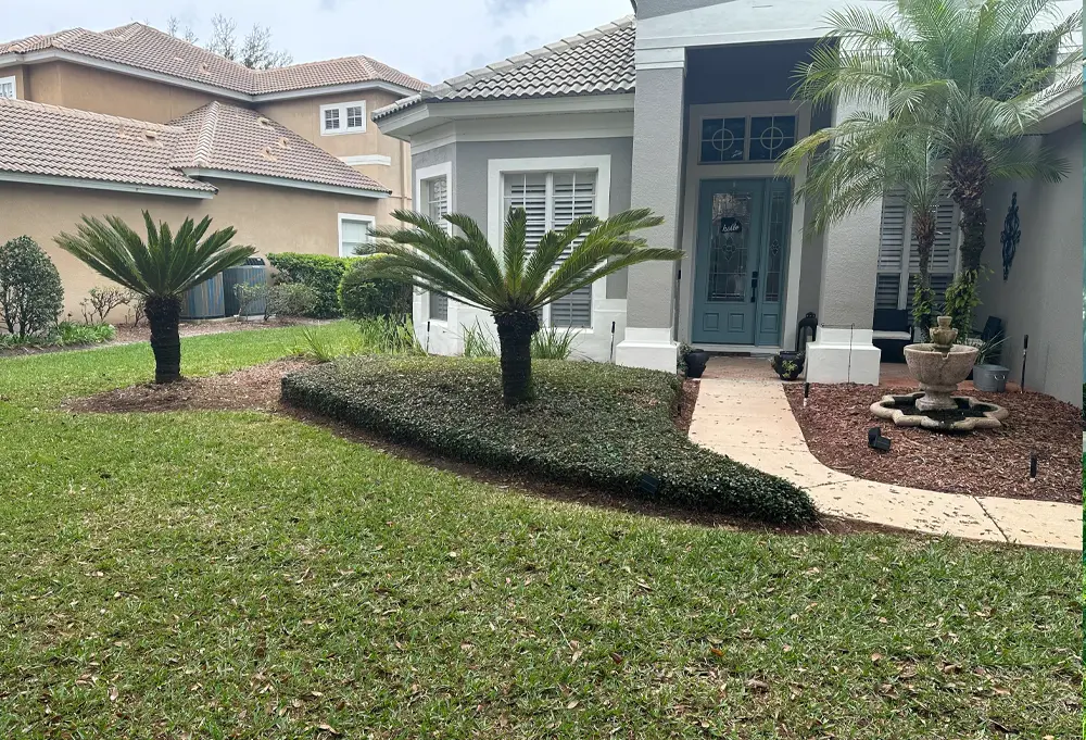 Before our Seminole County landscaping services