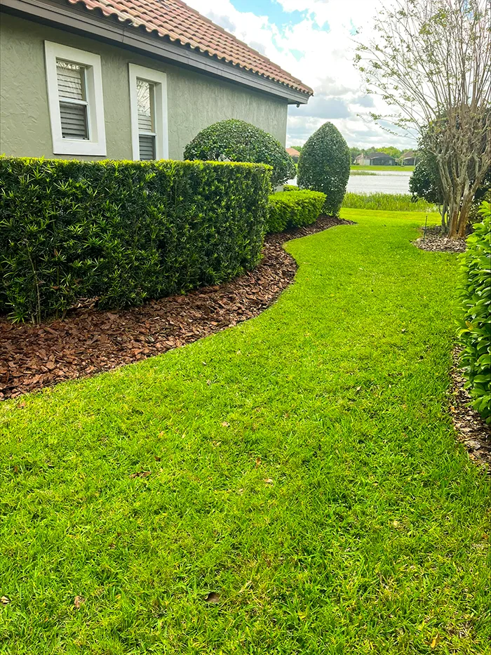 Green lawn in Lake Mary, FL