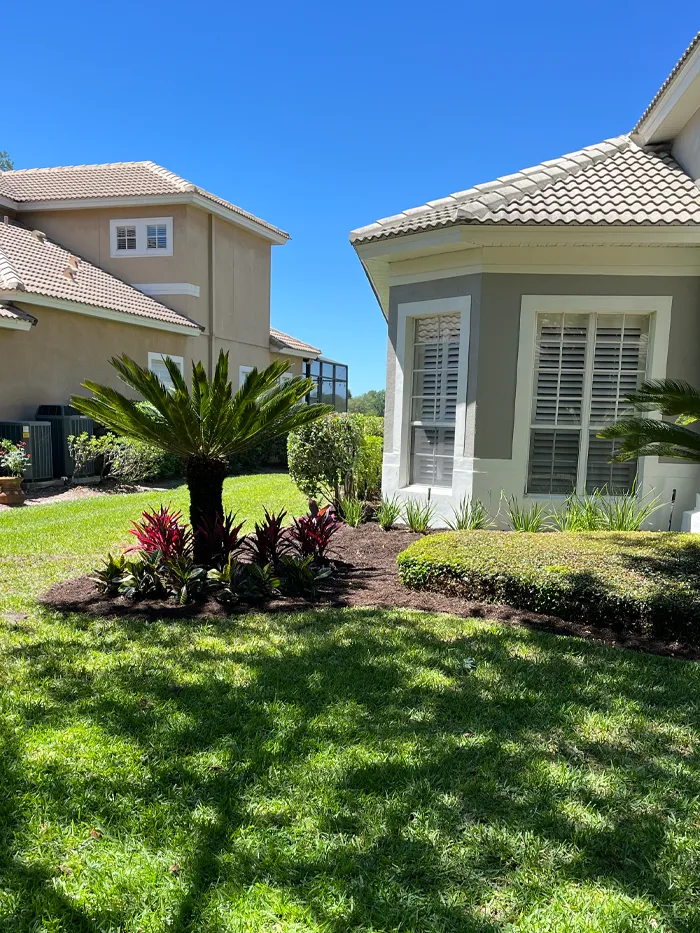 Landscaping improvement in Lake Mary, FL